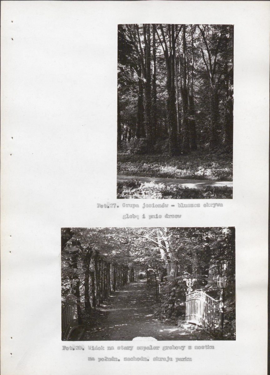 Ewidencja parkowa, skan nr 62