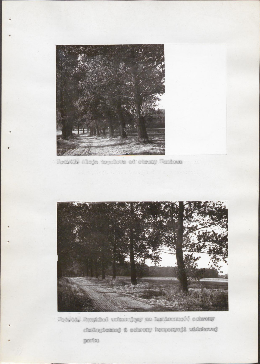 Ewidencja parkowa, skan nr 70