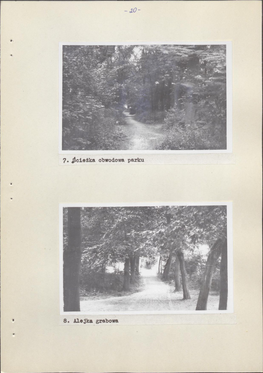 Ewidencja parkowa, skan nr 26