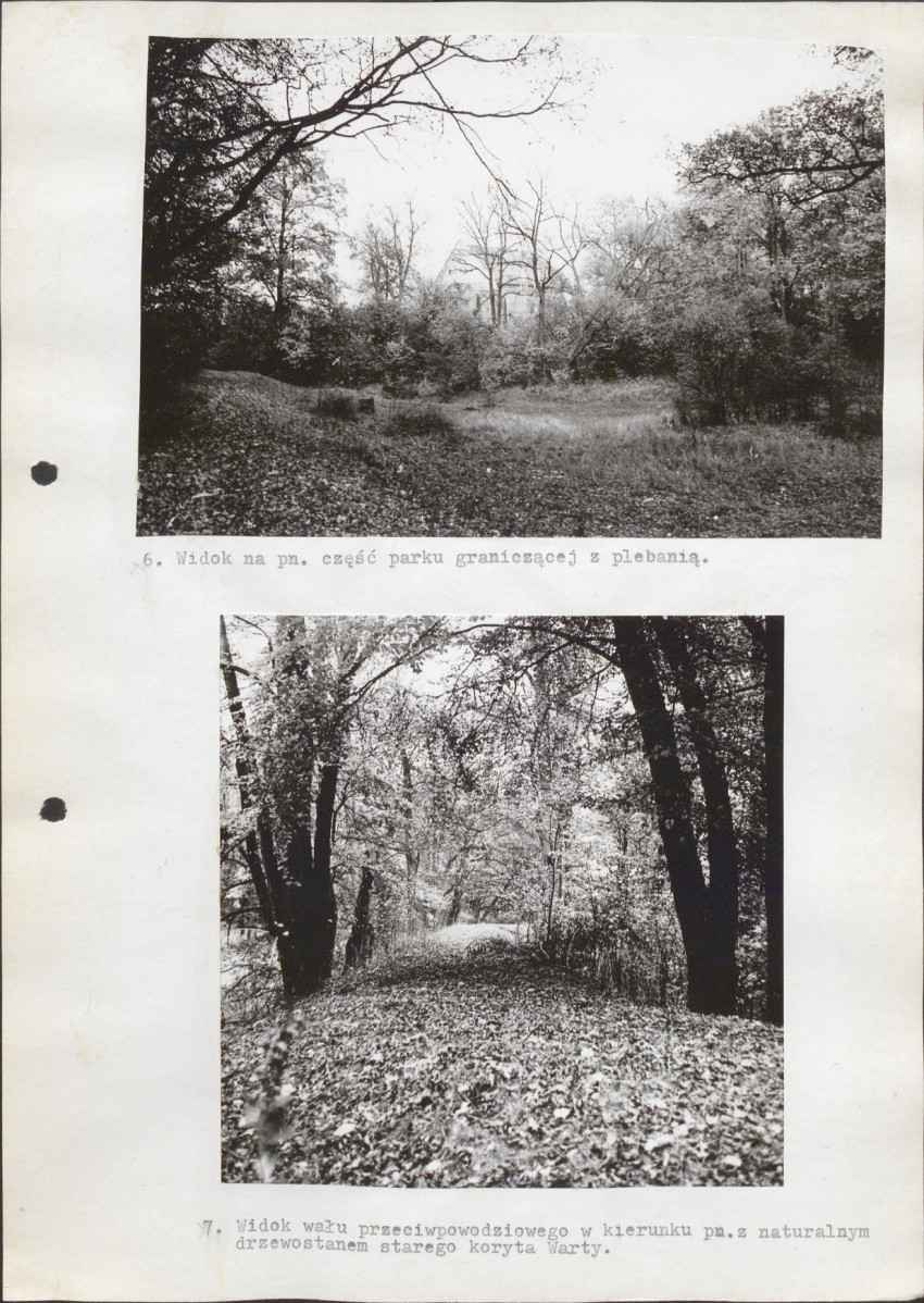 Ewidencja parkowa, skan nr 30