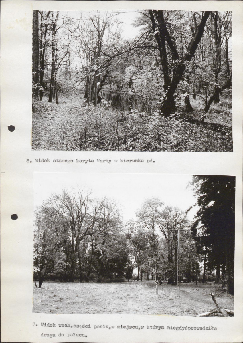Ewidencja parkowa, skan nr 31