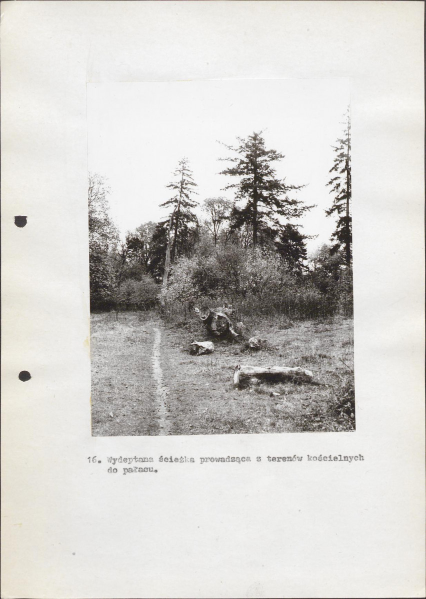 Ewidencja parkowa, skan nr 36