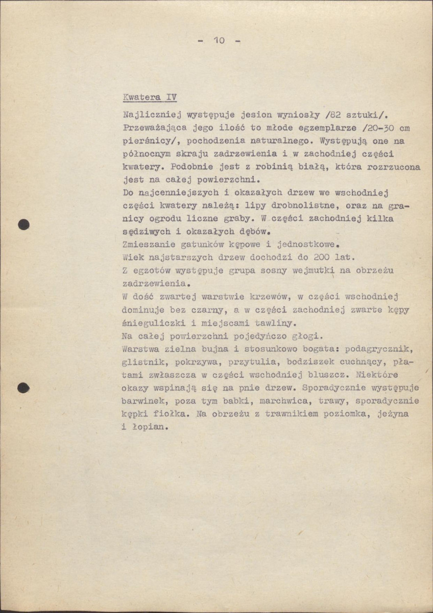 Ewidencja parkowa, skan nr 16