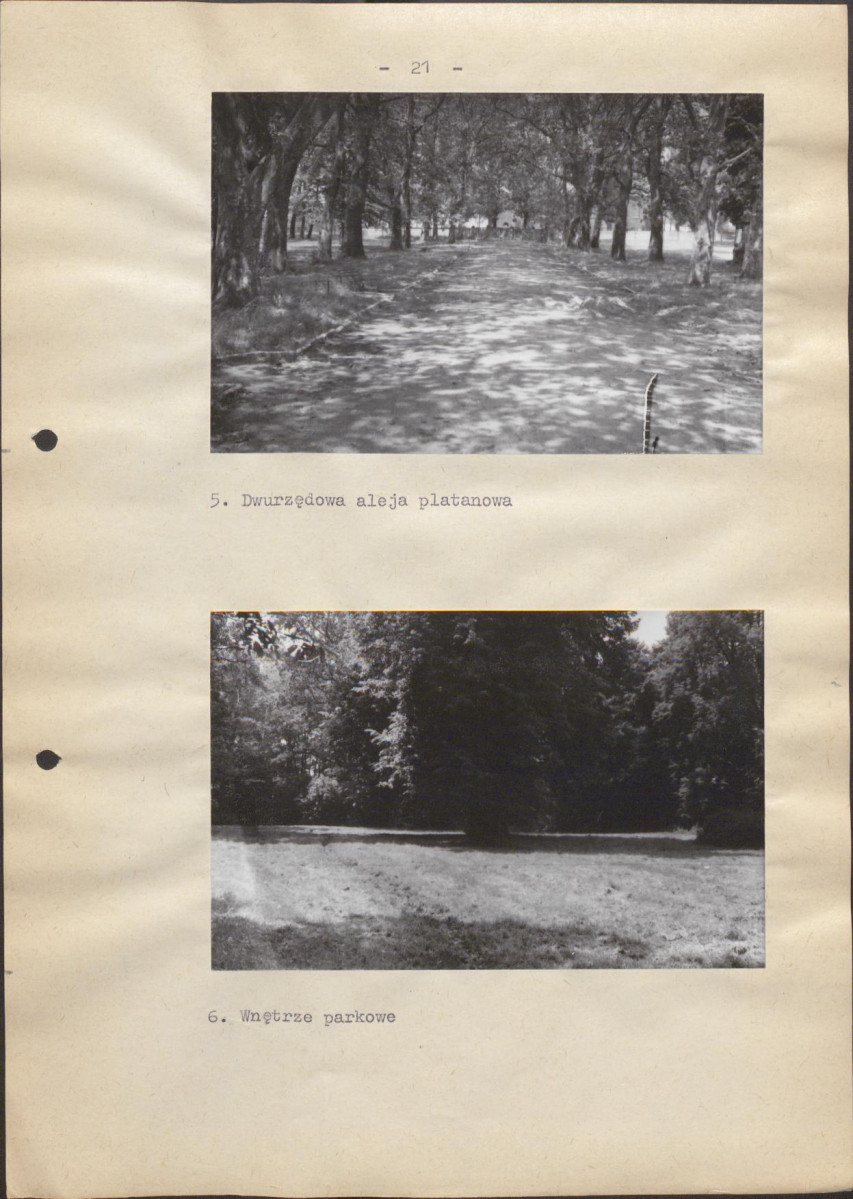 Ewidencja parkowa, skan nr 27