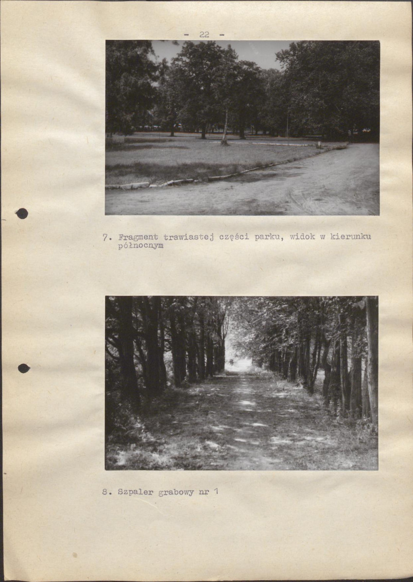 Ewidencja parkowa, skan nr 28