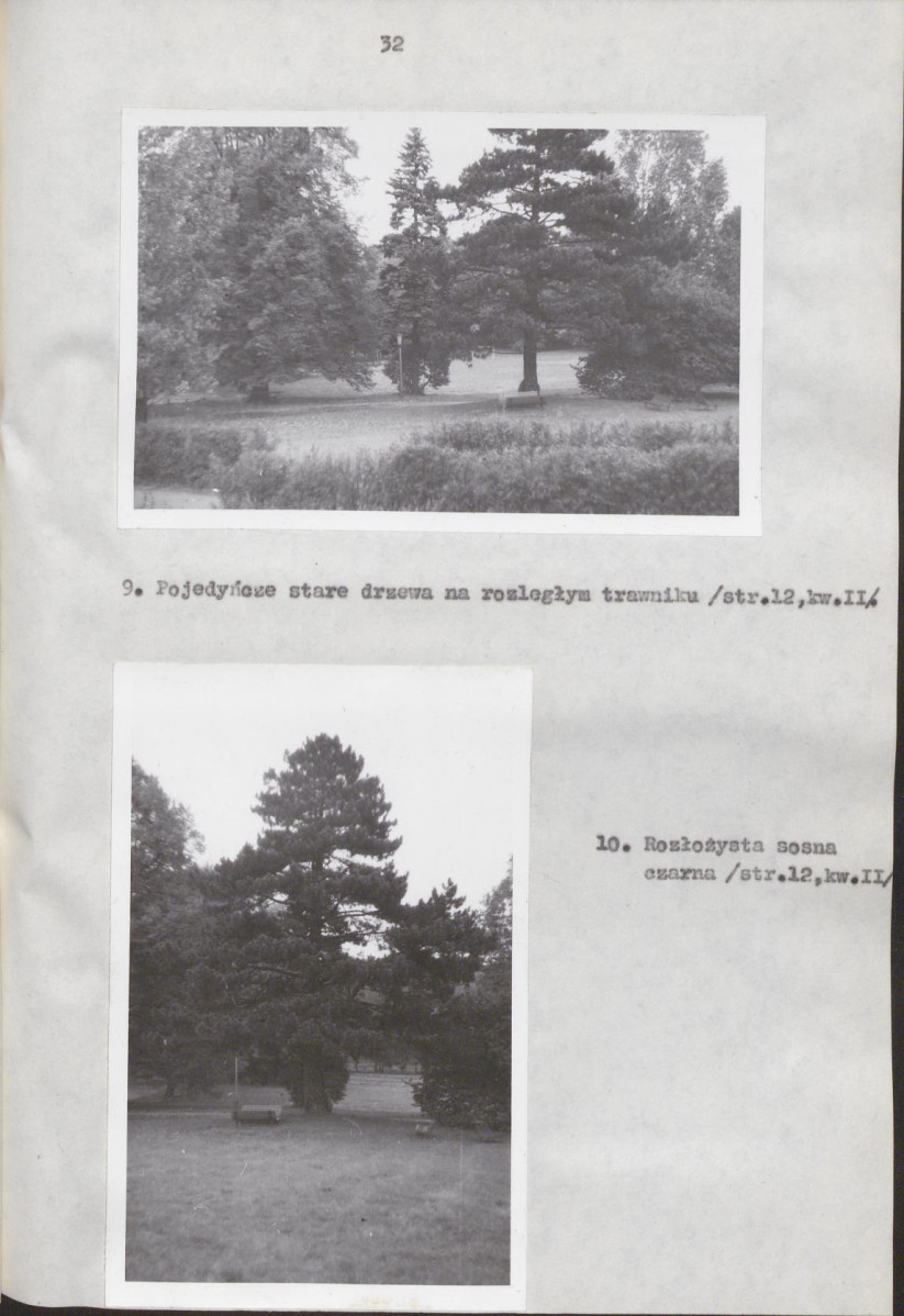 EP - Ewidencja parkowa, skan nr 39