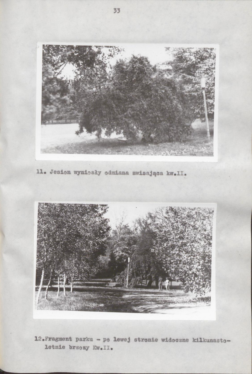 EP - Ewidencja parkowa, skan nr 40