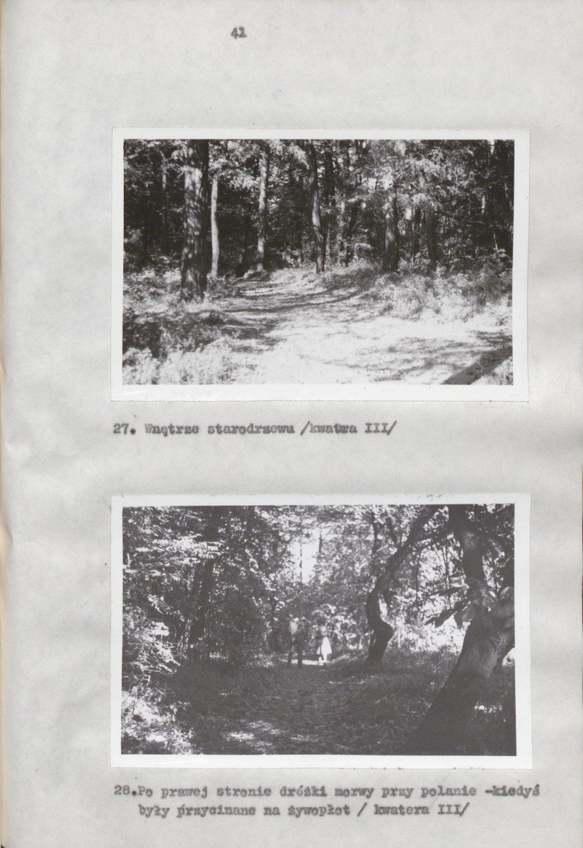 EP - Ewidencja parkowa, skan nr 48