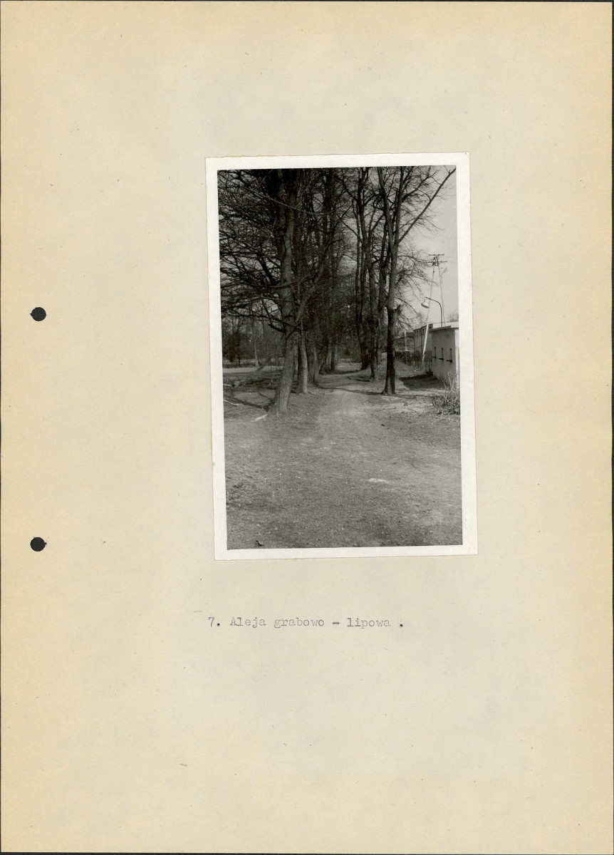 Ewidencja parkowa, skan nr 29