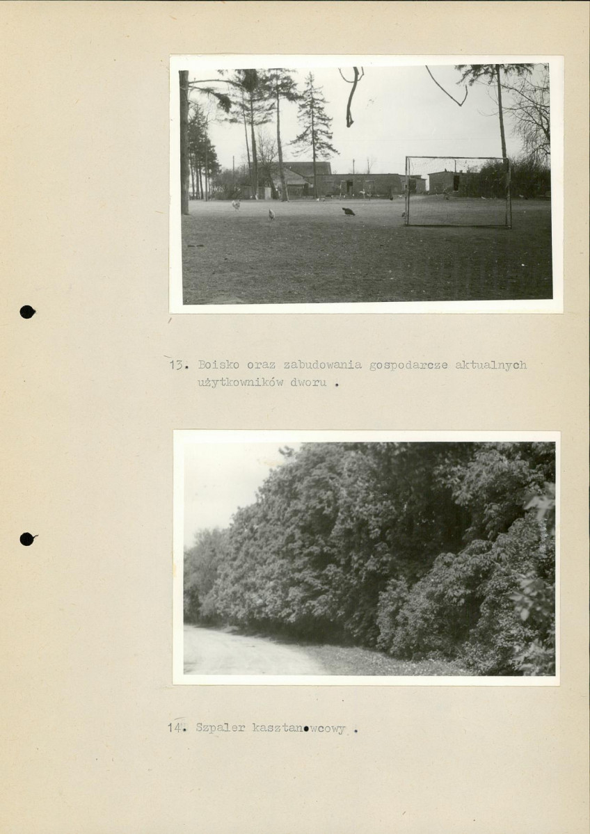 Ewidencja parkowa, skan nr 33