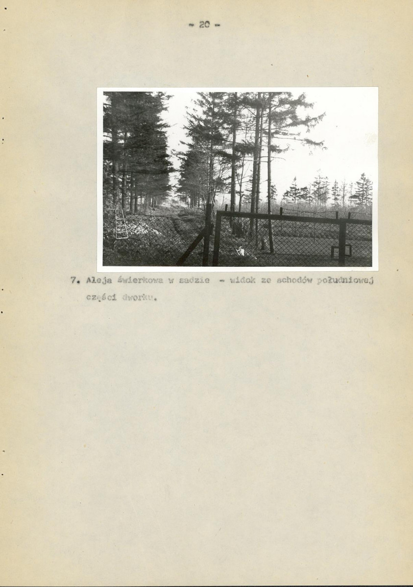 Ewidencja parkowa, skan nr 25