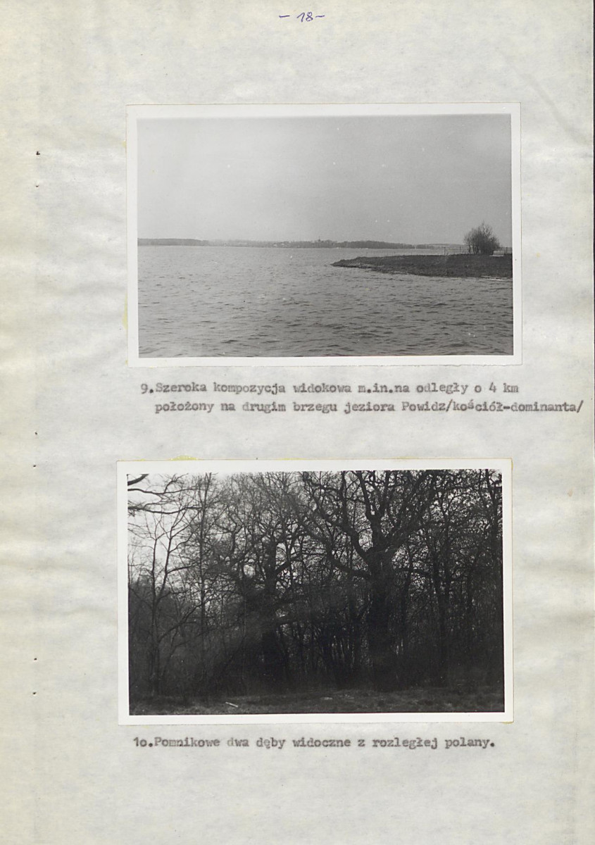 Ewidencja parkowa, skan nr 26