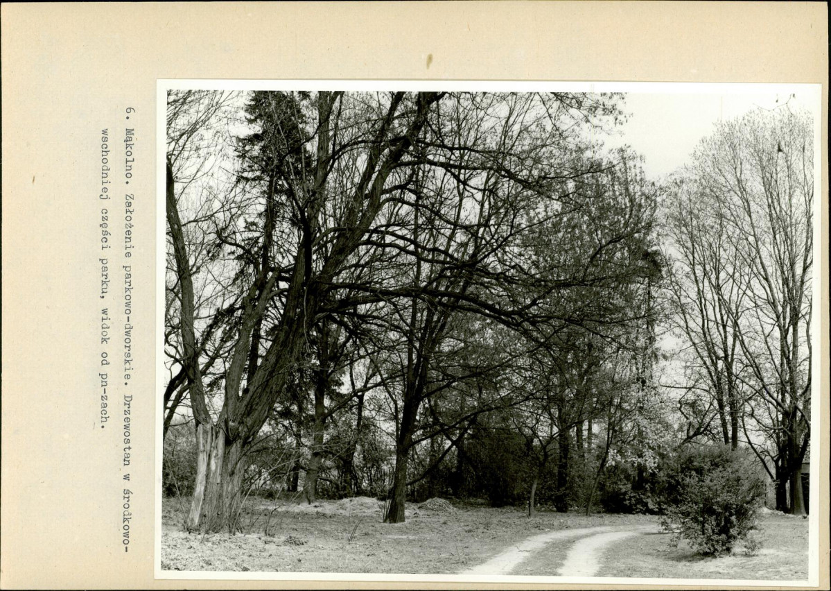 Ewidencja parkowa, skan nr 34