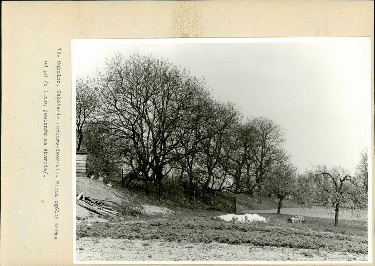 Ewidencja parkowa, skan nr 46