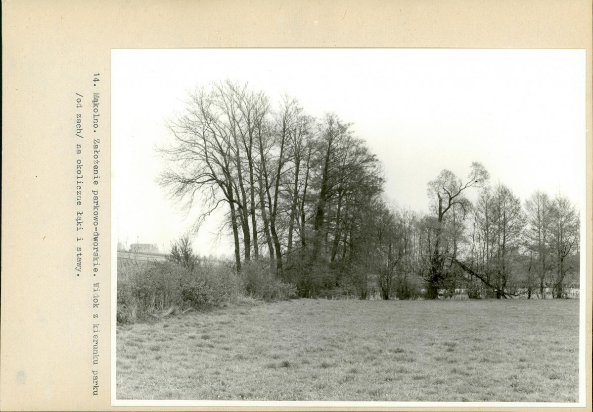 Ewidencja parkowa, skan nr 50