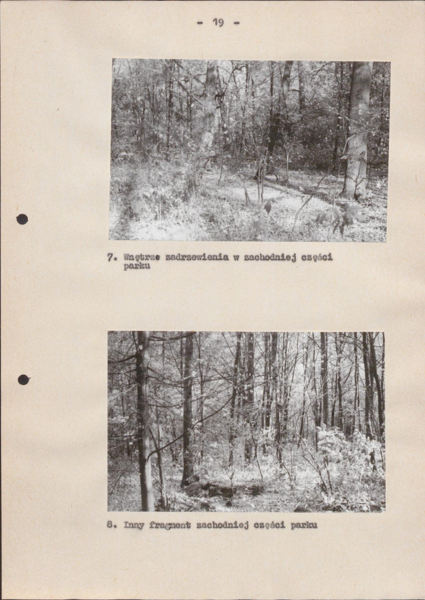 EP - Ewidencja parkowa, skan nr 25