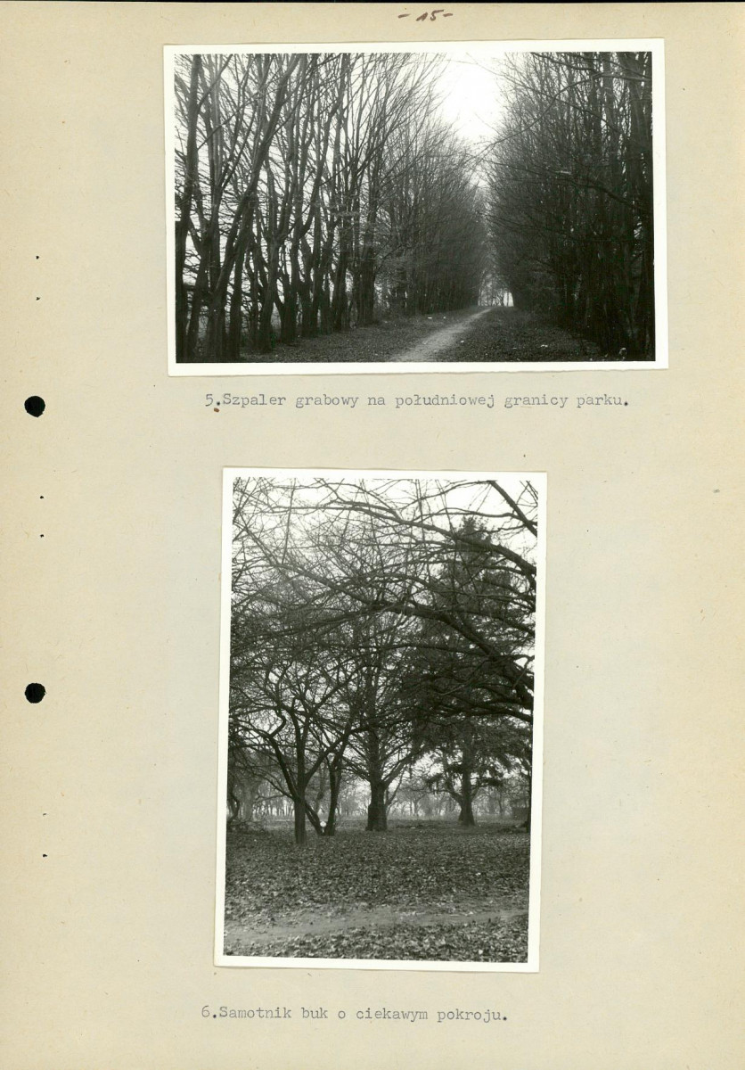 Ewidencja parkowa, skan nr 21