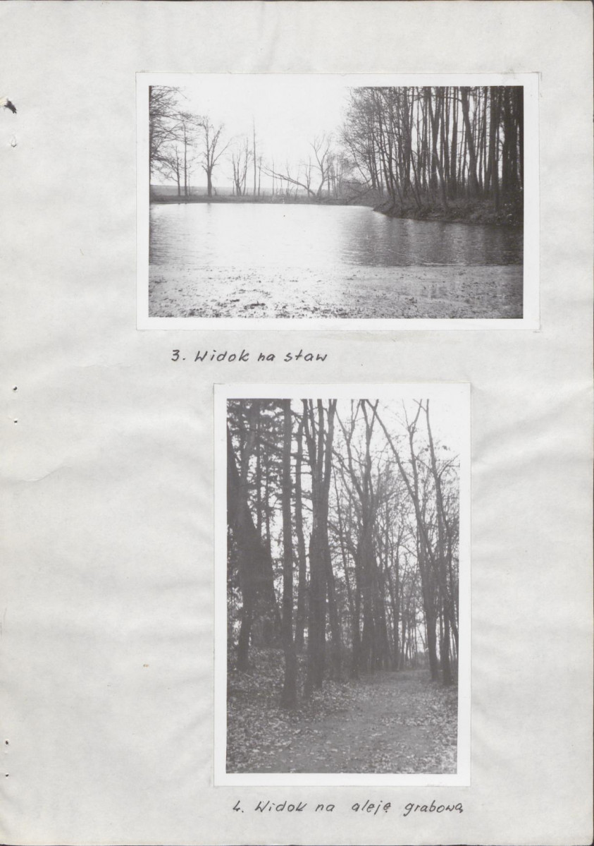Ewidencja parkowa, skan nr 22