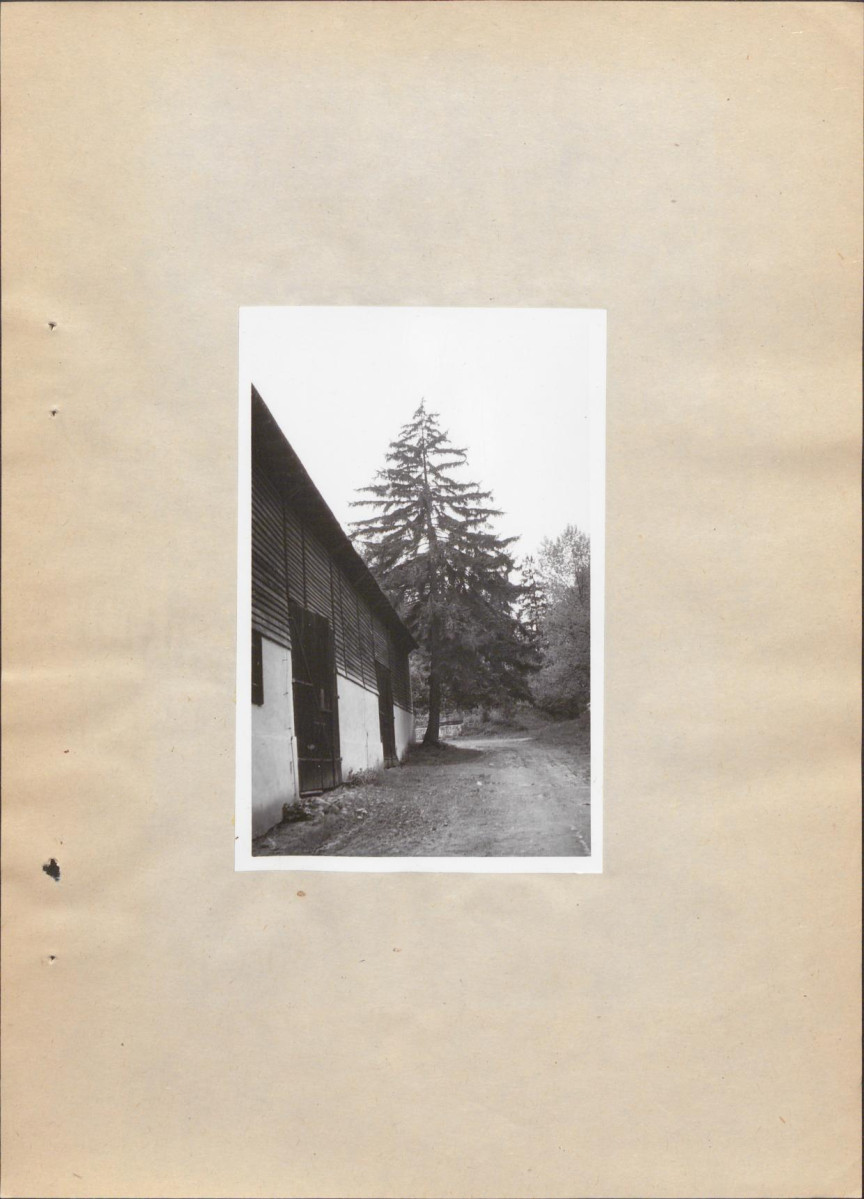 EP - Ewidencja parkowa, skan nr 24