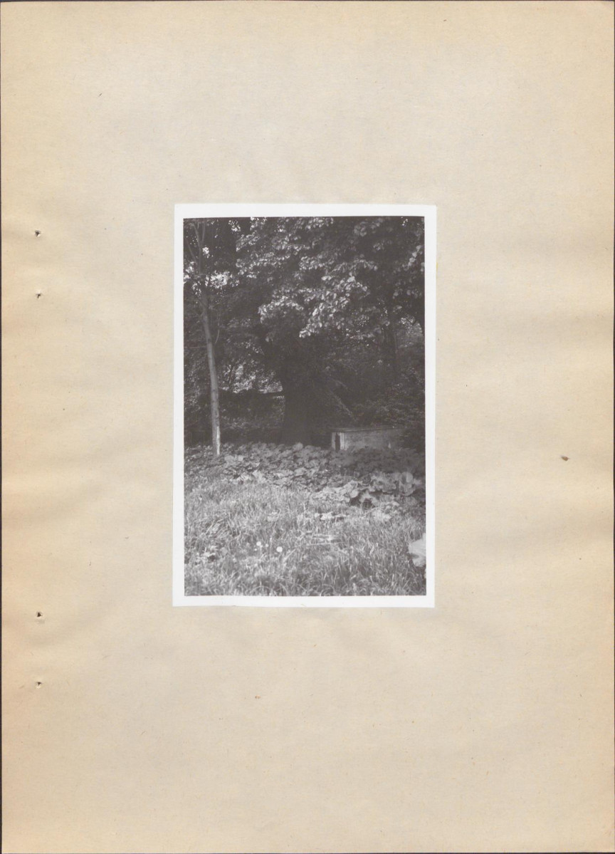 EP - Ewidencja parkowa, skan nr 26