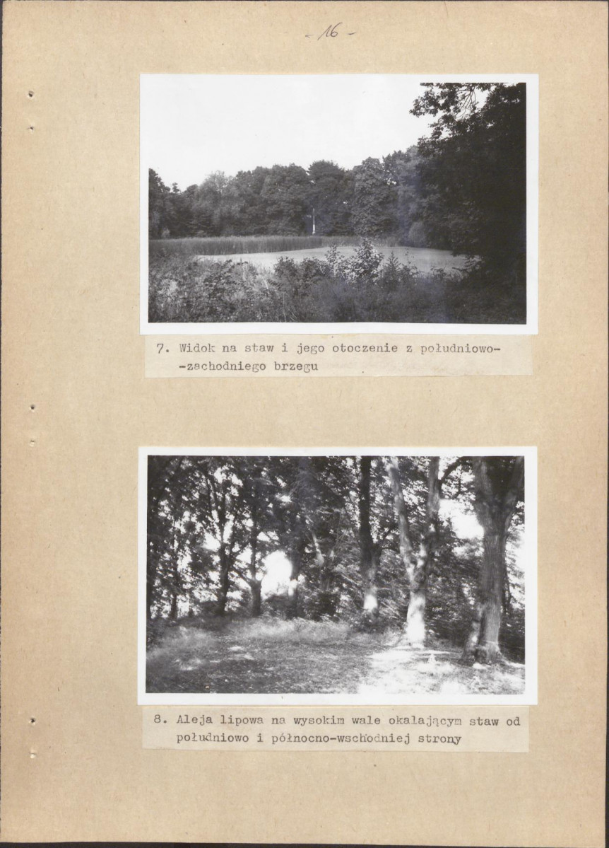 Ewidencja parkowa, skan nr 21