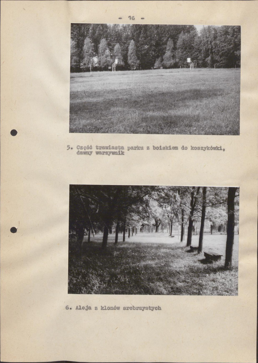 Ewidencja parkowa, skan nr 21