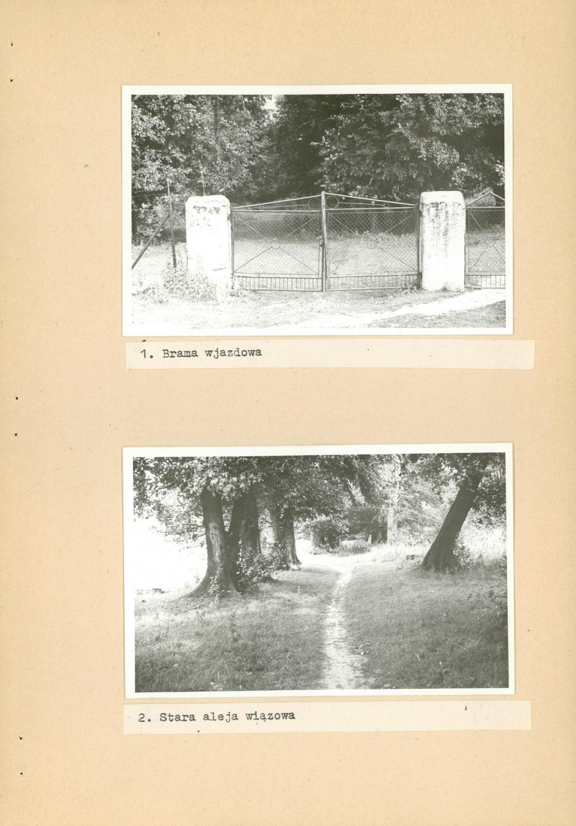 Ewidencja parkowa, skan nr 19