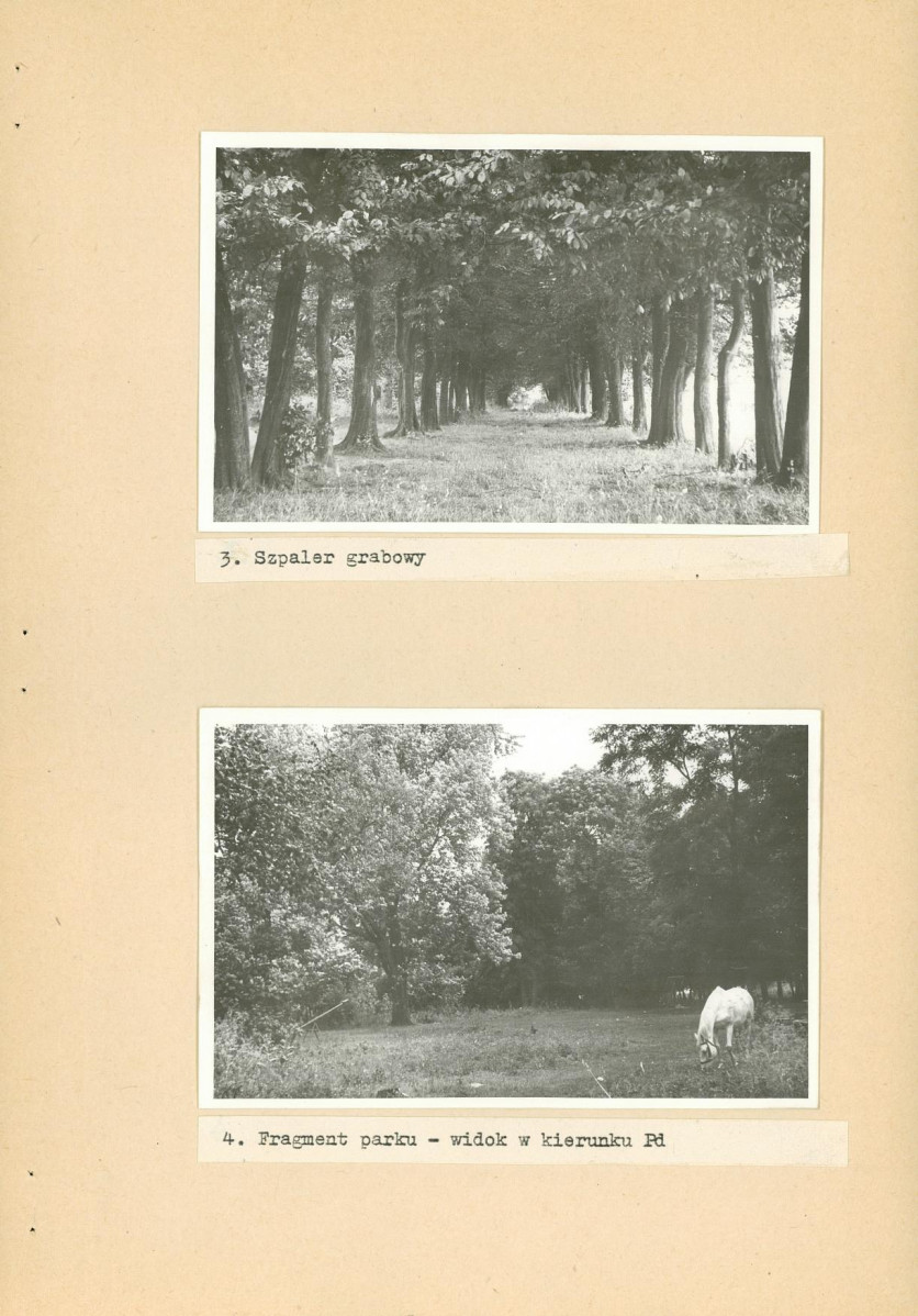 Ewidencja parkowa, skan nr 20