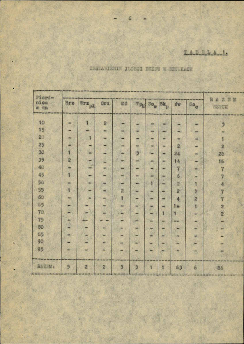Ewidencja parkowa, skan nr 11