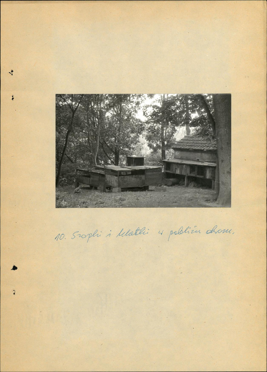 Ewidencja parkowa, skan nr 25