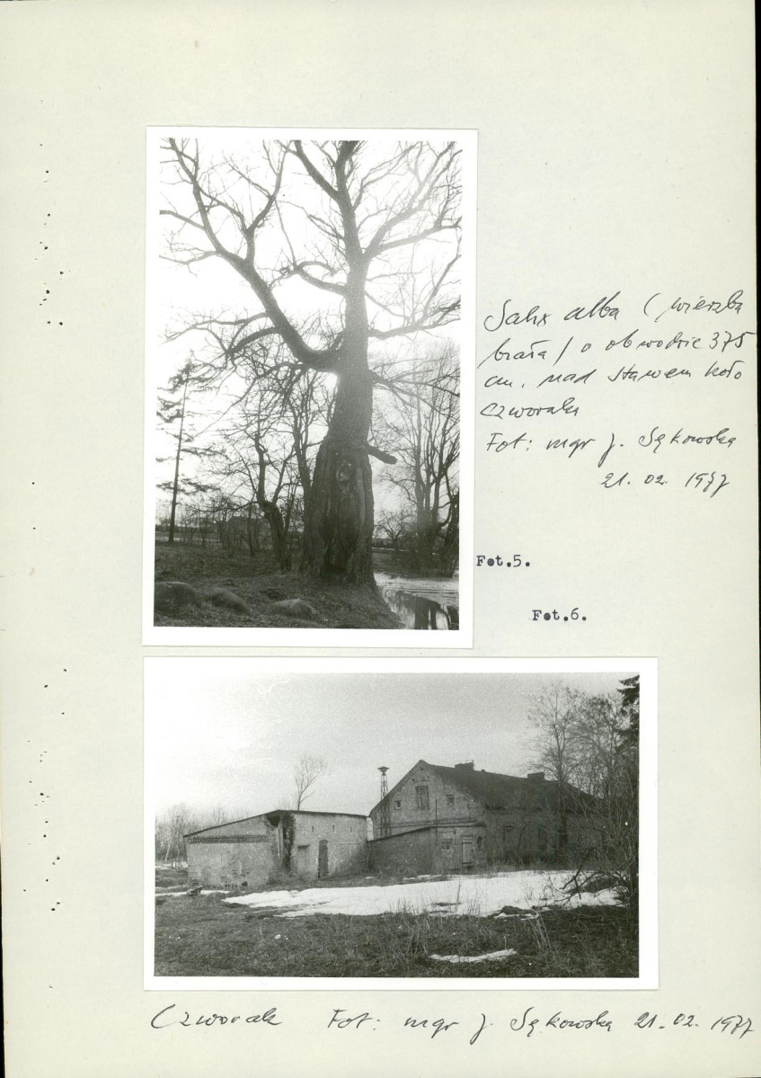 EP - Ewidencja parkowa, skan nr 15