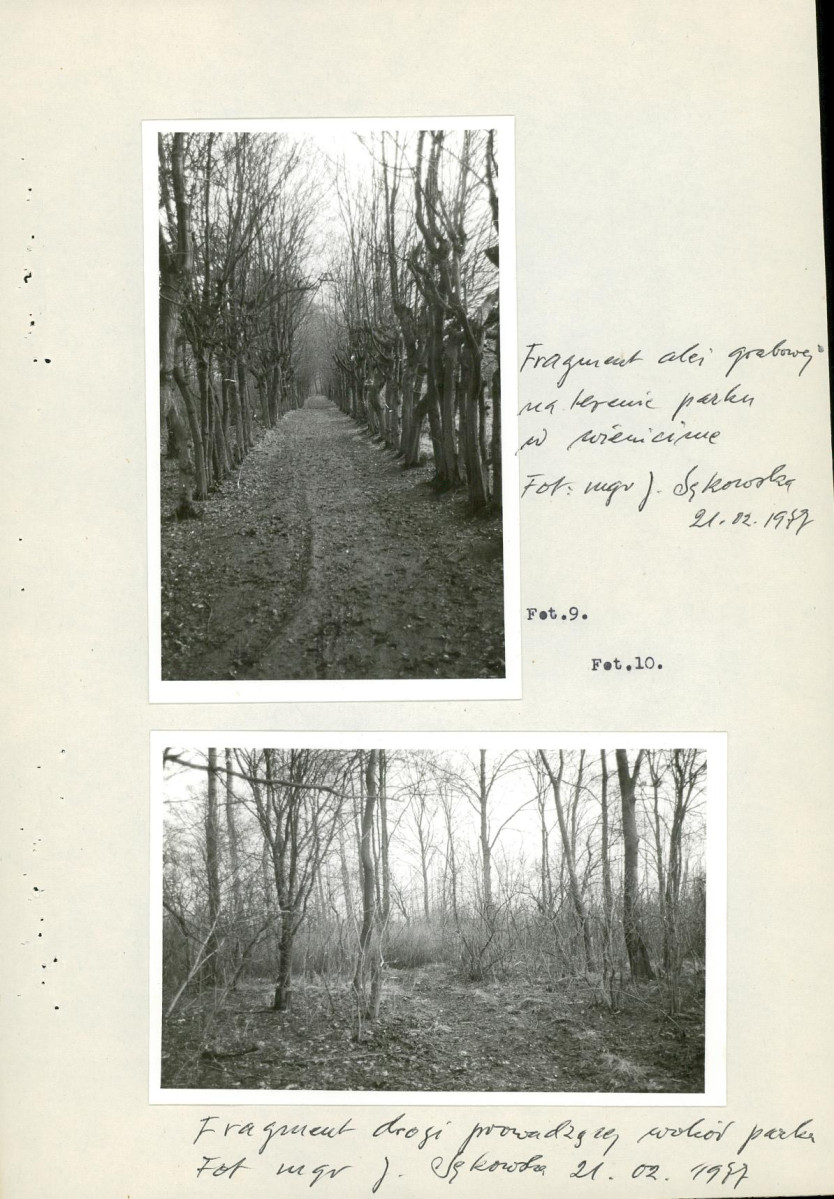 EP - Ewidencja parkowa, skan nr 17