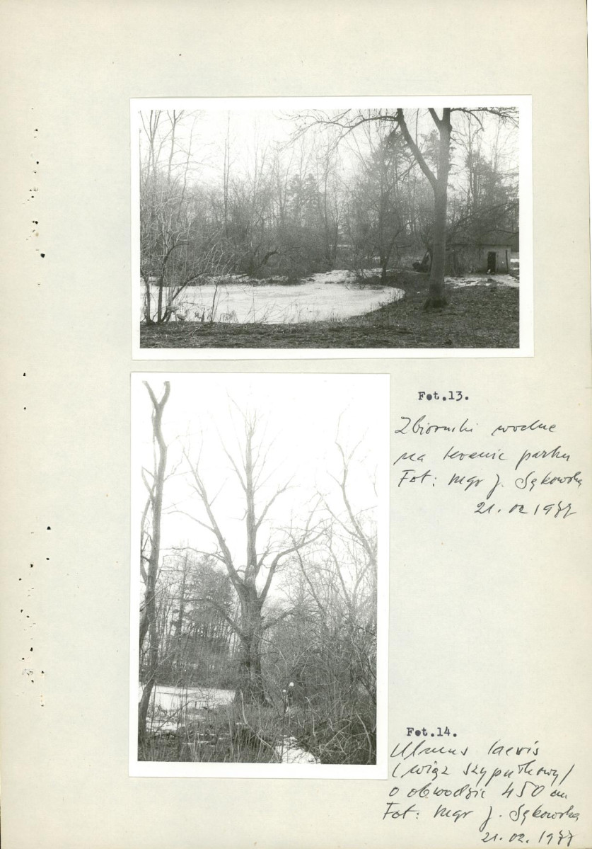 EP - Ewidencja parkowa, skan nr 19