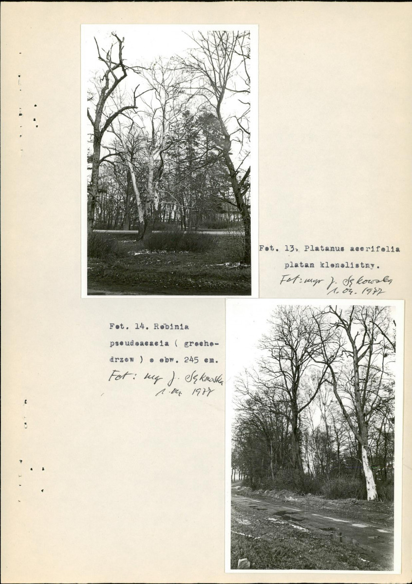 Ewidencja parkowa, skan nr 19