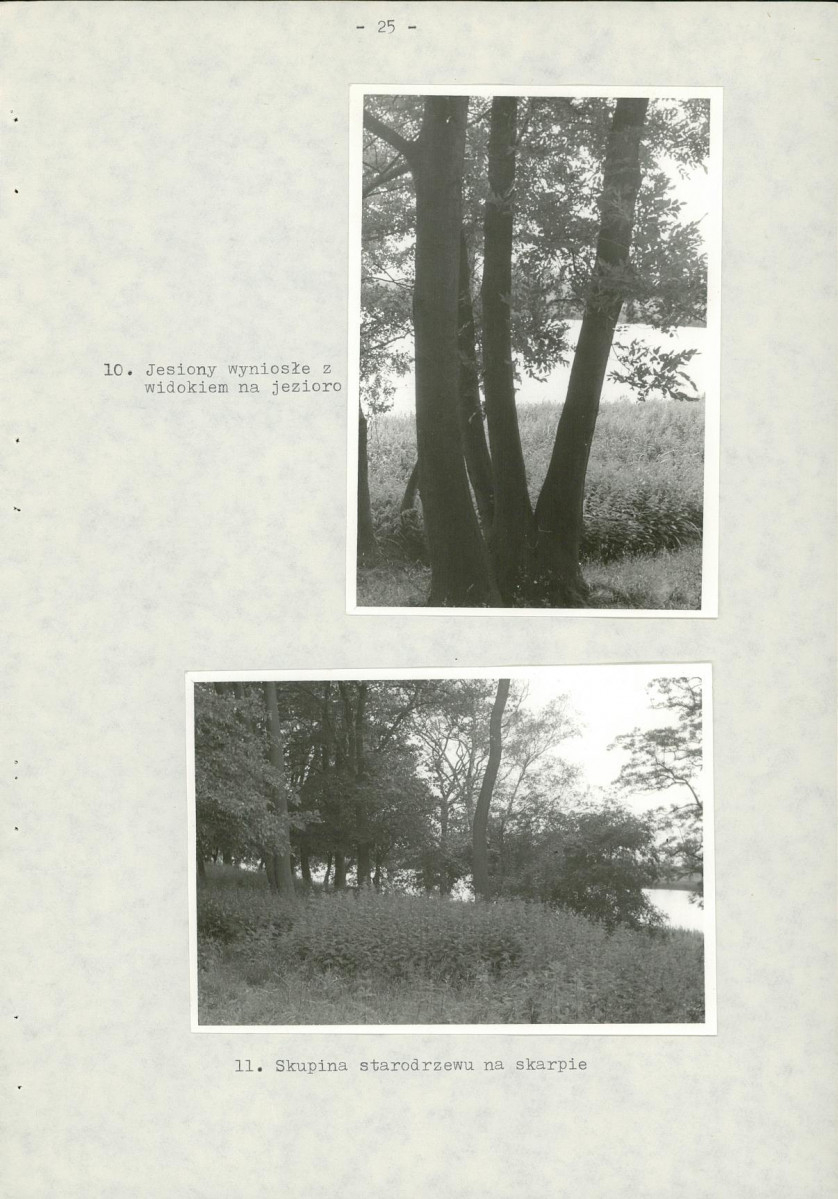 Ewidencja parkowa, skan nr 32