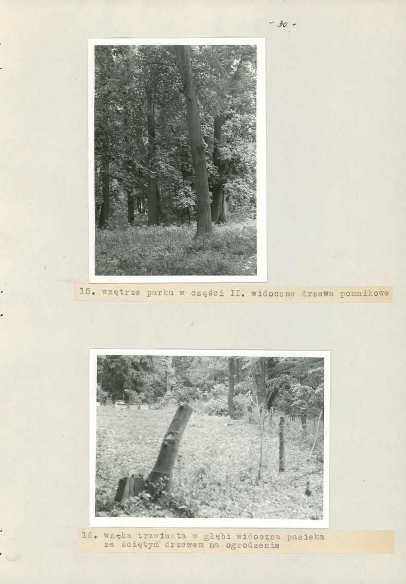 Ewidencja parkowa, skan nr 37