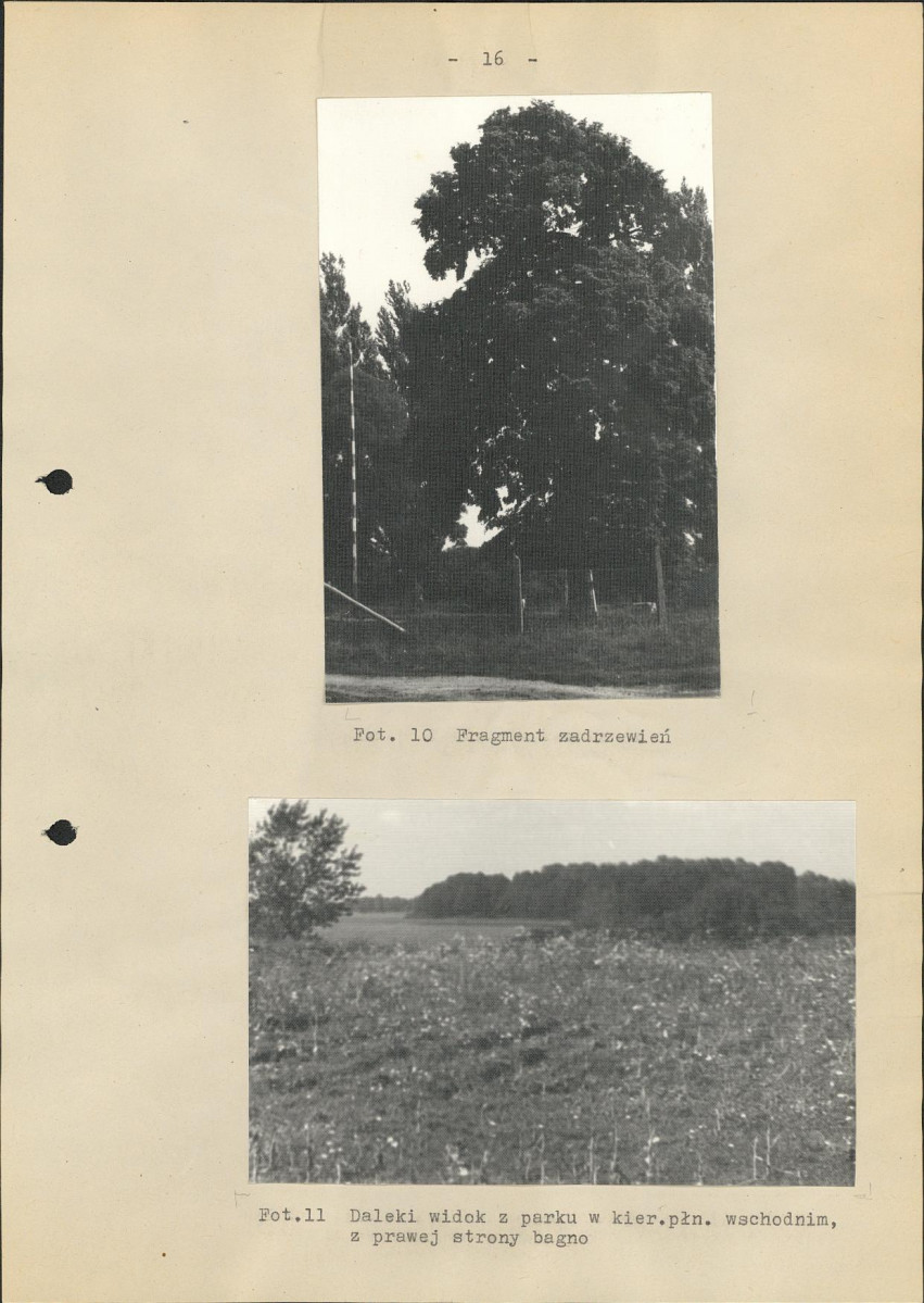 Ewidencja parkowa, skan nr 24