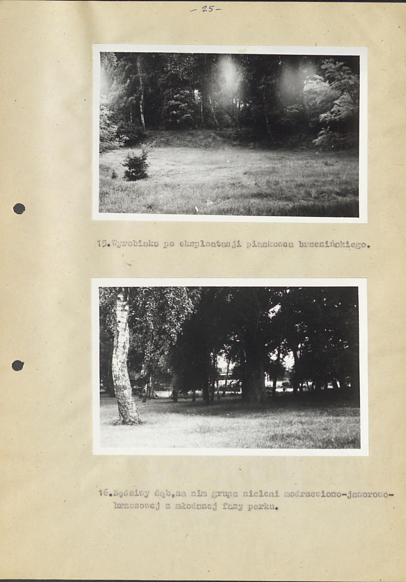 EP - Ewidencja parkowa, skan nr 35