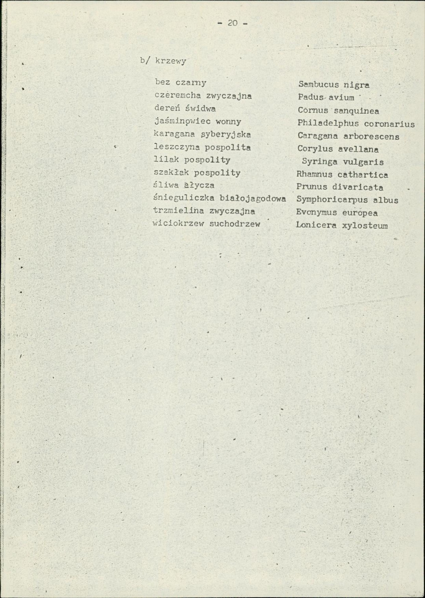 EP - Ewidencja parkowa, skan nr 28