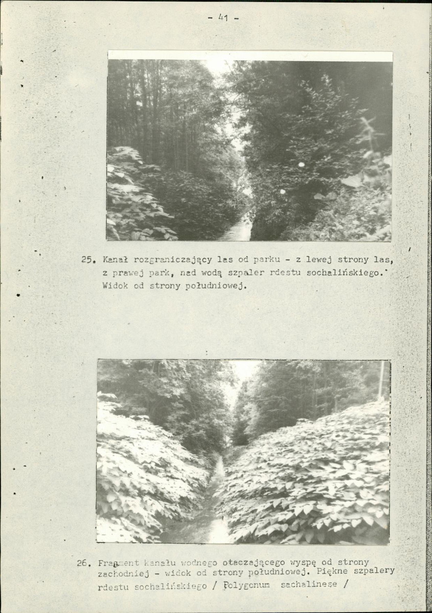 EP - Ewidencja parkowa, skan nr 49