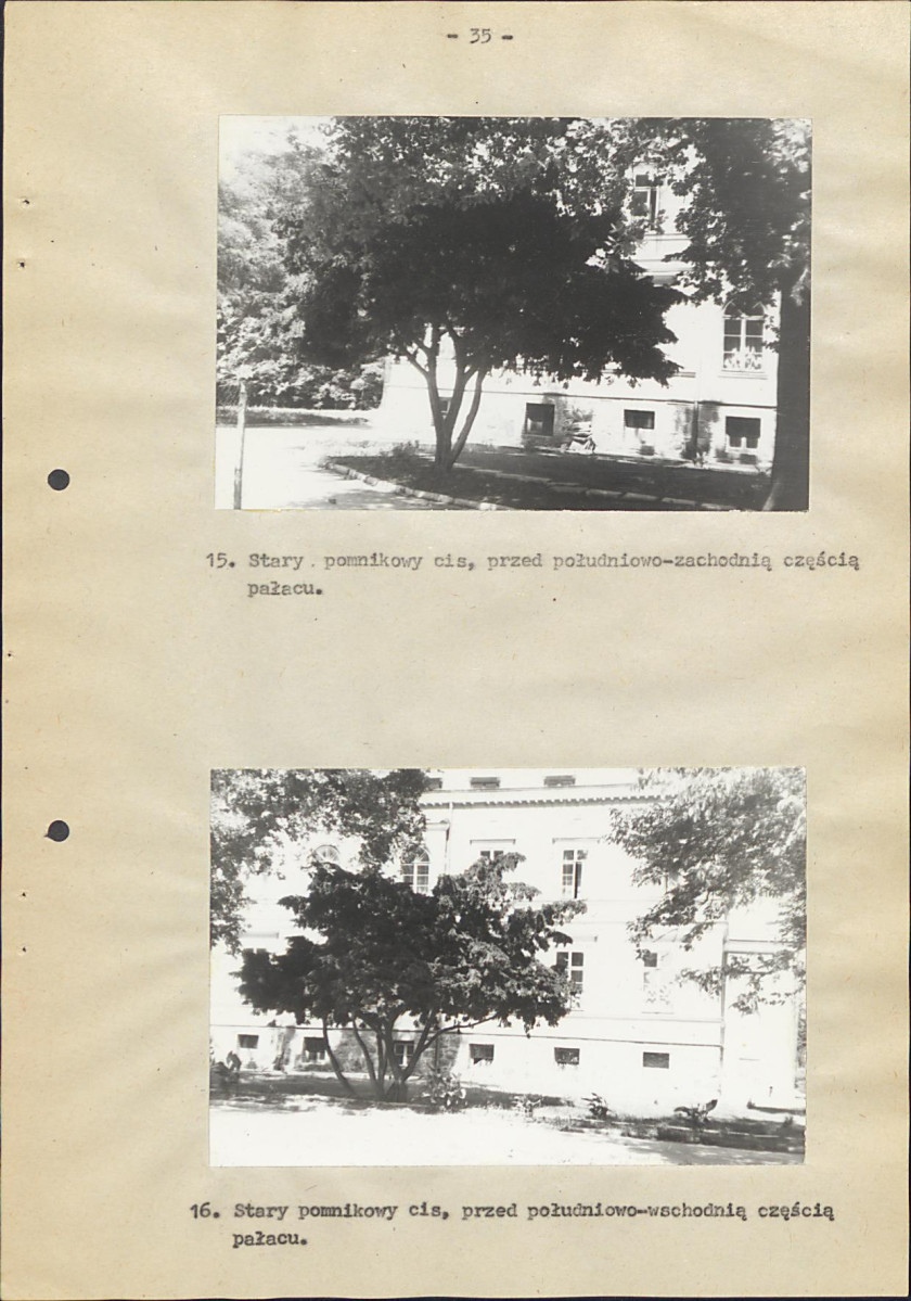 EP - Ewidencja parkowa, skan nr 61