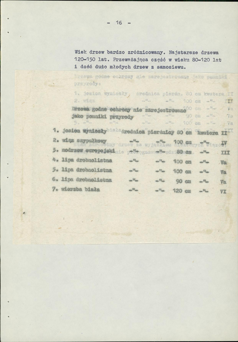 Ewidencja parkowa, skan nr 25