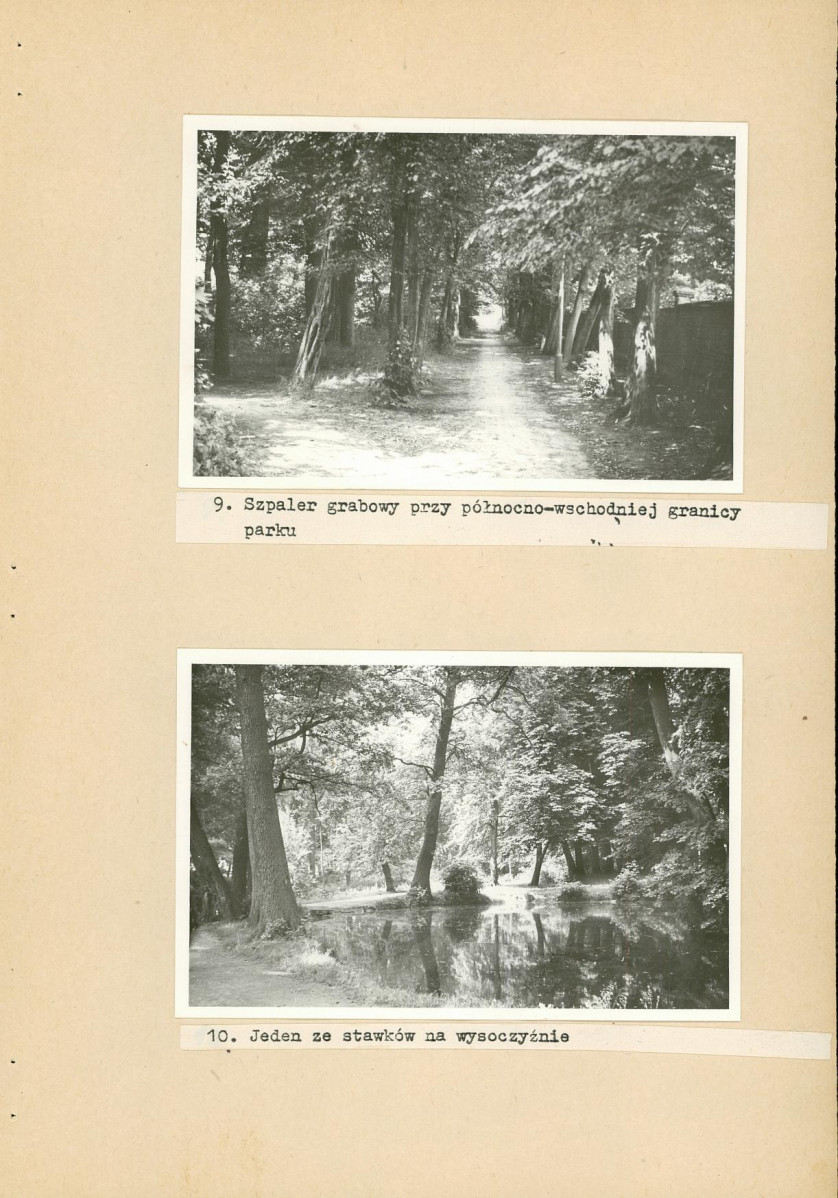 Ewidencja parkowa, skan nr 34