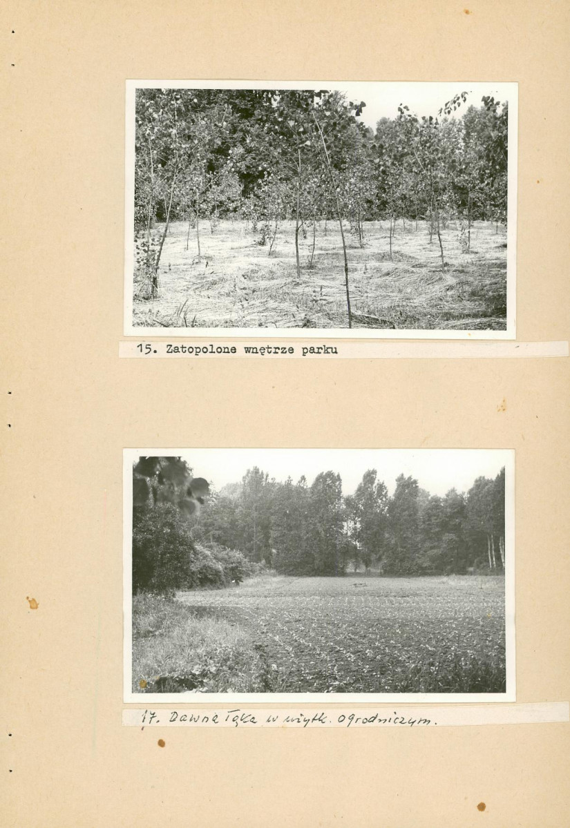 Ewidencja parkowa, skan nr 37
