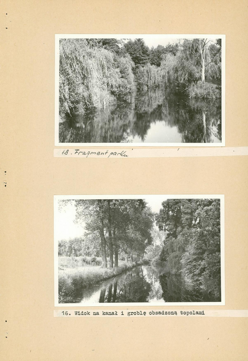 Ewidencja parkowa, skan nr 38