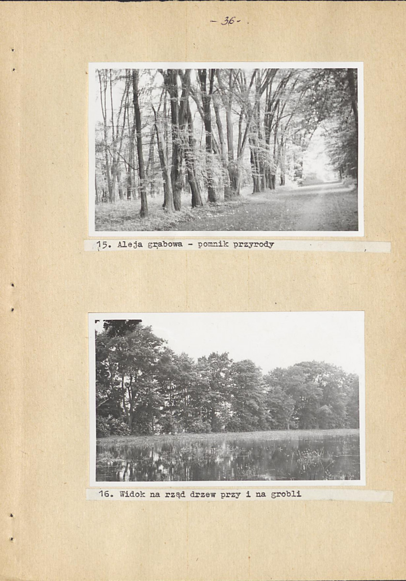Ewidencja parkowa, skan nr 43