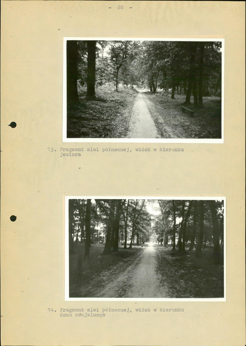 Ewidencja parkowa, skan nr 35