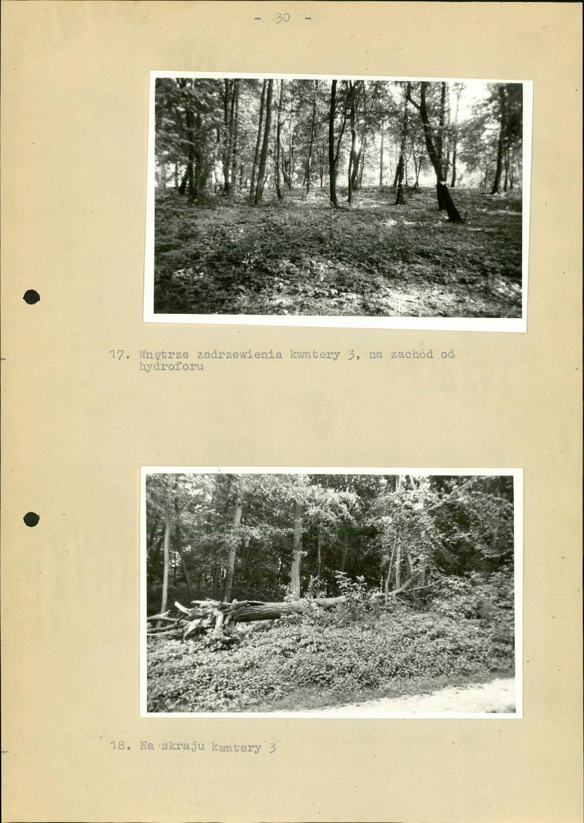 Ewidencja parkowa, skan nr 37