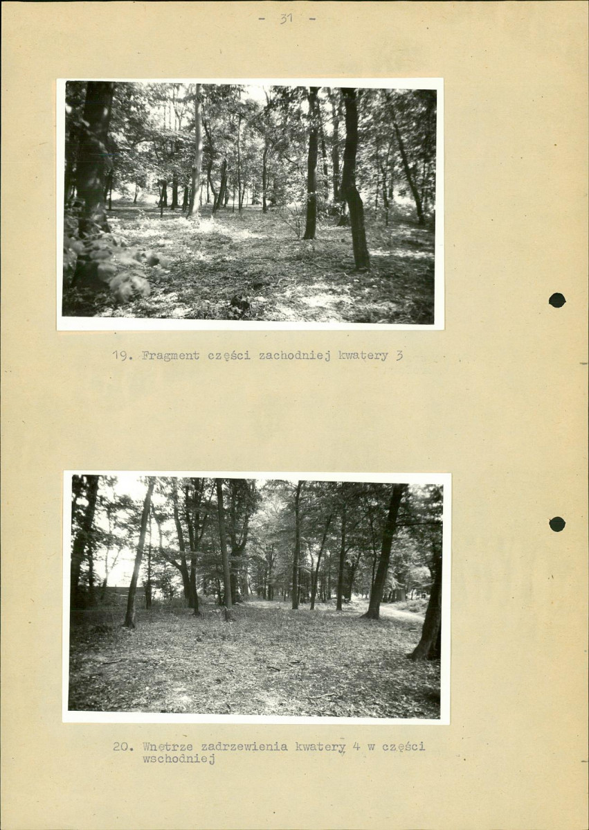 Ewidencja parkowa, skan nr 38