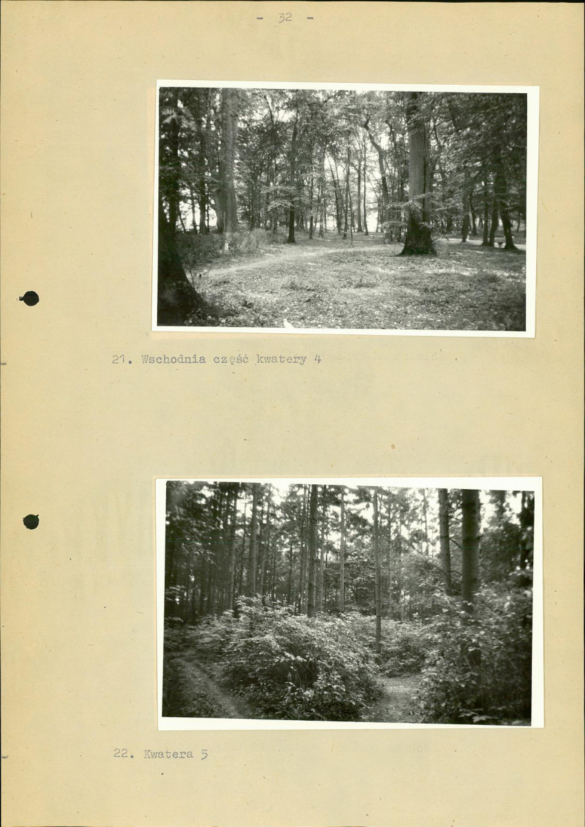 Ewidencja parkowa, skan nr 39